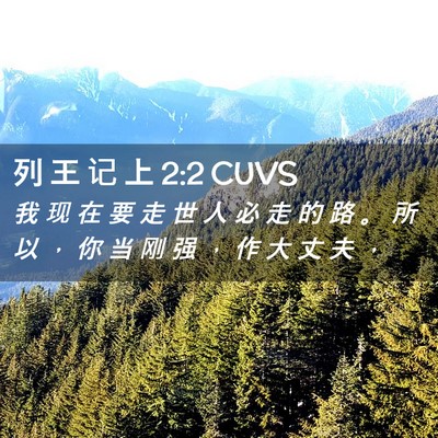 Picture 02 - 列 王 记 上 2:2 CUVS - 我 现 在 要 走 世 人 必 走 的 路 。 - Bible Verse Picture