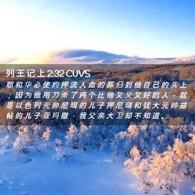 Picture 02 - 列 王 记 上 2:32 CUVS - 耶 和 华 必 使 约 押 流 人 血 的 罪 - Bible Verse Picture