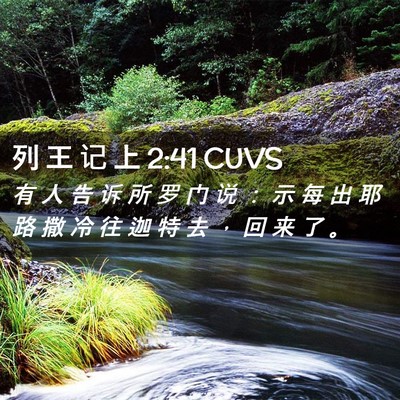 Picture 02 - 列 王 记 上 2:41 CUVS - 有 人 告 诉 所 罗 门 说 ： 示 每 出 - Bible Verse Picture