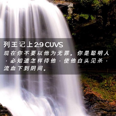 Picture 02 - 列 王 记 上 2:9 CUVS - 现 在 你 不 要 以 他 为 无 罪 。 你 - Bible Verse Picture