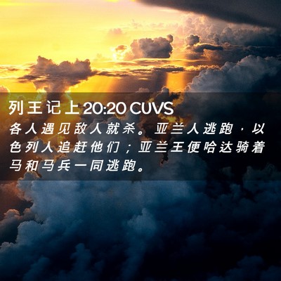 Picture 02 - 列 王 记 上 20:20 CUVS - 各 人 遇 见 敌 人 就 杀 。 亚 兰 人 - Bible Verse Picture