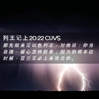 Picture 02 - 列 王 记 上 20:22 CUVS - 那 先 知 来 见 以 色 列 王 ， 对 他 - Bible Verse Picture