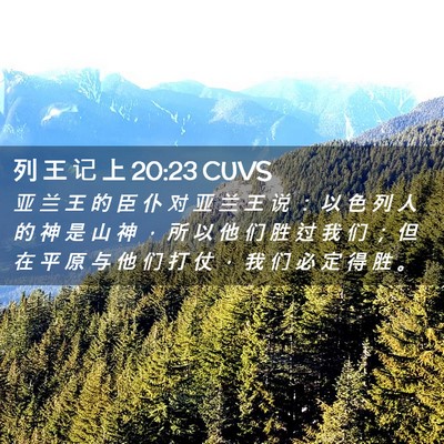 Picture 02 - 列 王 记 上 20:23 CUVS - 亚 兰 王 的 臣 仆 对 亚 兰 王 说 ： - Bible Verse Picture