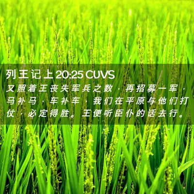 Picture 02 - 列 王 记 上 20:25 CUVS - 又 照 着 王 丧 失 军 兵 之 数 ， 再 - Bible Verse Picture
