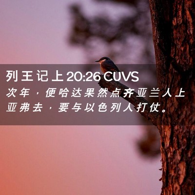 Picture 02 - 列 王 记 上 20:26 CUVS - 次 年 ， 便 哈 达 果 然 点 齐 亚 兰 - Bible Verse Picture