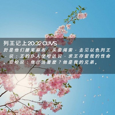 Picture 02 - 列 王 记 上 20:32 CUVS - 於 是 他 们 腰 束 麻 布 ， 头 套 绳 - Bible Verse Picture