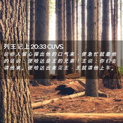 Picture 02 - 列 王 记 上 20:33 CUVS - 这 些 人 留 心 探 出 他 的 口 气 来 - Bible Verse Picture