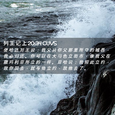 Picture 02 - 列 王 记 上 20:34 CUVS - 便 哈 达 对 王 说 ： 我 父 从 你 父 - Bible Verse Picture