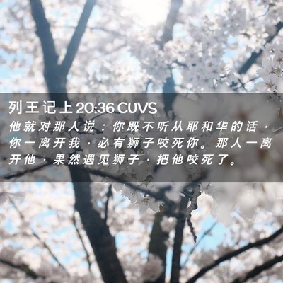 Picture 02 - 列 王 记 上 20:36 CUVS - 他 就 对 那 人 说 ： 你 既 不 听 从 - Bible Verse Picture