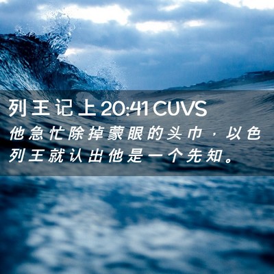 Picture 02 - 列 王 记 上 20:41 CUVS - 他 急 忙 除 掉 蒙 眼 的 头 巾 ， 以 - Bible Verse Picture