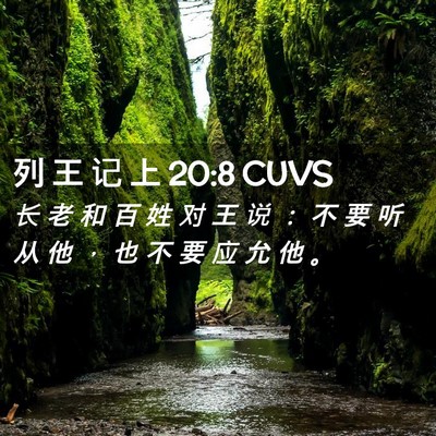 Picture 02 - 列 王 记 上 20:8 CUVS - 长 老 和 百 姓 对 王 说 ： 不 要 听 - Bible Verse Picture