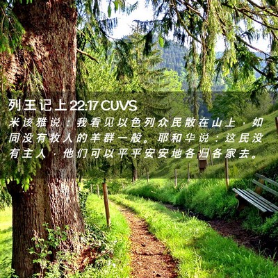 Picture 02 - 列 王 记 上 22:17 CUVS - 米 该 雅 说 ： 我 看 见 以 色 列 众 - Bible Verse Picture