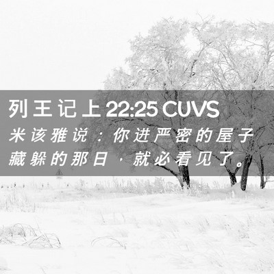 Picture 02 - 列 王 记 上 22:25 CUVS - 米 该 雅 说 ： 你 进 严 密 的 屋 子 - Bible Verse Picture