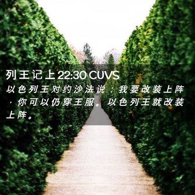 Picture 02 - 列 王 记 上 22:30 CUVS - 以 色 列 王 对 约 沙 法 说 ： 我 要 - Bible Verse Picture