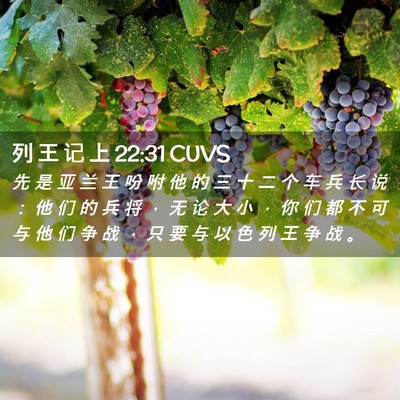 Picture 02 - 列 王 记 上 22:31 CUVS - 先 是 亚 兰 王 吩 咐 他 的 三 十 二 - Bible Verse Picture