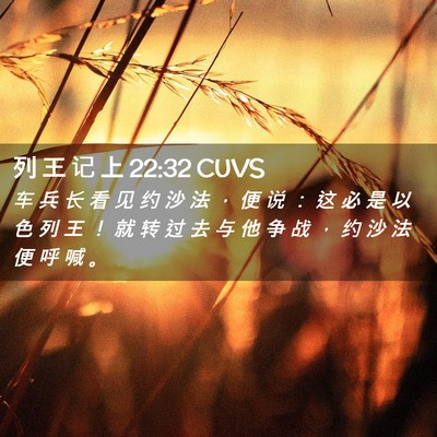 Picture 02 - 列 王 记 上 22:32 CUVS - 车 兵 长 看 见 约 沙 法 ， 便 说 ： - Bible Verse Picture