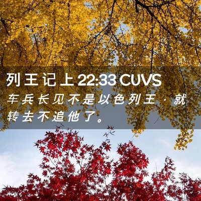 Picture 02 - 列 王 记 上 22:33 CUVS - 车 兵 长 见 不 是 以 色 列 王 ， 就 - Bible Verse Picture