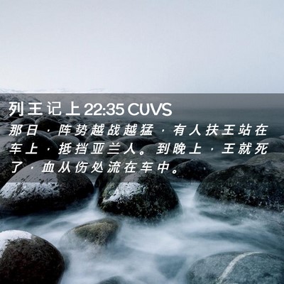 Picture 02 - 列 王 记 上 22:35 CUVS - 那 日 ， 阵 势 越 战 越 猛 ， 有 人 - Bible Verse Picture