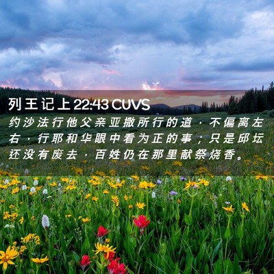 Picture 02 - 列 王 记 上 22:43 CUVS - 约 沙 法 行 他 父 亲 亚 撒 所 行 的 - Bible Verse Picture