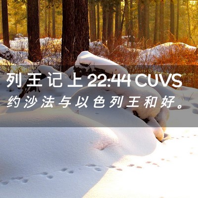 Picture 02 - 列 王 记 上 22:44 CUVS - 约 沙 法 与 以 色 列 王 和 好 - Bible Verse Picture