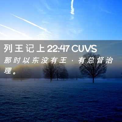 Picture 02 - 列 王 记 上 22:47 CUVS - 那 时 以 东 没 有 王 ， 有 总 督 治 - Bible Verse Picture