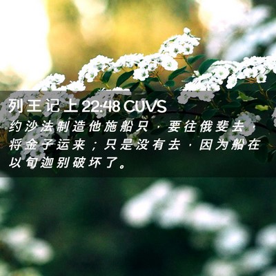 Picture 02 - 列 王 记 上 22:48 CUVS - 约 沙 法 制 造 他 施 船 只 ， 要 往 - Bible Verse Picture