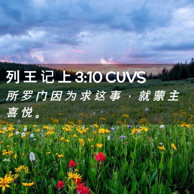 Picture 02 - 列 王 记 上 3:10 CUVS - 所 罗 门 因 为 求 这 事 ， 就 蒙 主 - Bible Verse Picture