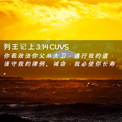 Picture 02 - 列 王 记 上 3:14 CUVS - 你 若 效 法 你 父 亲 大 卫 ， 遵 行 - Bible Verse Picture