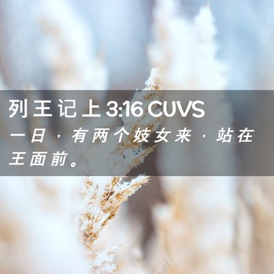 Picture 02 - 列 王 记 上 3:16 CUVS - 一 日 ， 有 两 个 妓 女 来 ， 站 在 - Bible Verse Picture
