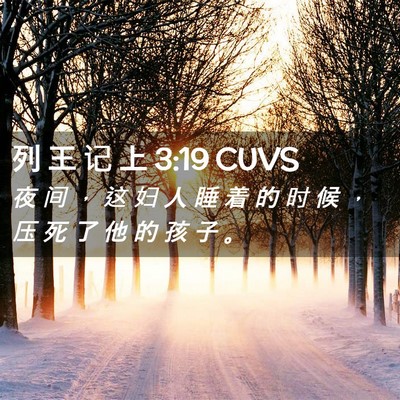 Picture 02 - 列 王 记 上 3:19 CUVS - 夜 间 ， 这 妇 人 睡 着 的 时 候 ， - Bible Verse Picture