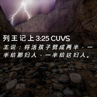Picture 02 - 列 王 记 上 3:25 CUVS - 王 说 ： 将 活 孩 子 劈 成 两 半 ， - Bible Verse Picture