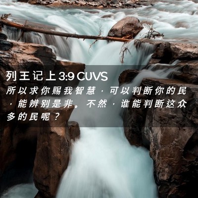 Picture 02 - 列 王 记 上 3:9 CUVS - 所 以 求 你 赐 我 智 慧 ， 可 以 判 - Bible Verse Picture