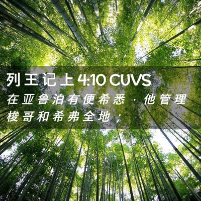 Picture 02 - 列 王 记 上 4:10 CUVS - 在 亚 鲁 泊 有 便 希 悉 ， 他 管 理 - Bible Verse Picture