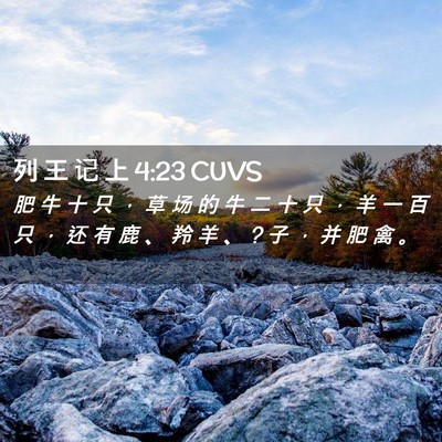 Picture 02 - 列 王 记 上 4:23 CUVS - 肥 牛 十 只 ， 草 场 的 牛 二 十 只 - Bible Verse Picture