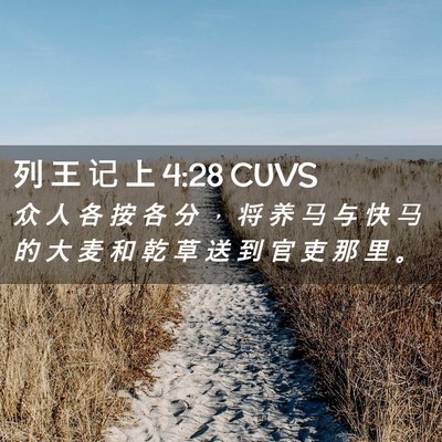 Picture 02 - 列 王 记 上 4:28 CUVS - 众 人 各 按 各 分 ， 将 养 马 与 快 - Bible Verse Picture