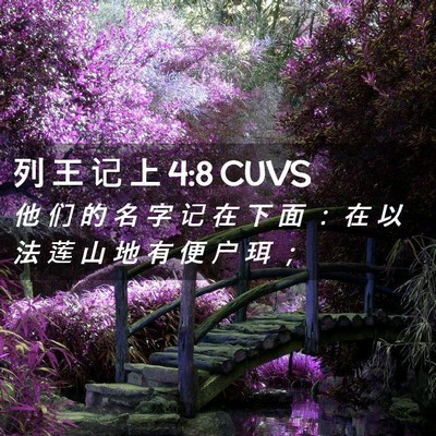Picture 02 - 列 王 记 上 4:8 CUVS - 他 们 的 名 字 记 在 下 面 ： 在 以 - Bible Verse Picture