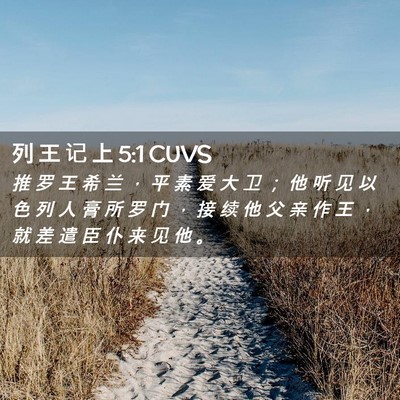 Picture 02 - 列 王 记 上 5:1 CUVS - 推 罗 王 希 兰 ， 平 素 爱 大 卫 ； - Bible Verse Picture