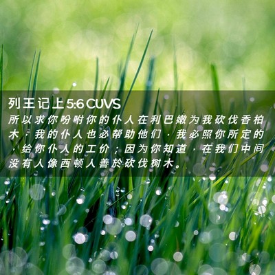 Picture 02 - 列 王 记 上 5:6 CUVS - 所 以 求 你 吩 咐 你 的 仆 人 在 利 - Bible Verse Picture