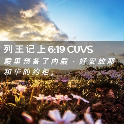 Picture 02 - 列 王 记 上 6:19 CUVS - 殿 里 预 备 了 内 殿 ， 好 安 放 耶 - Bible Verse Picture