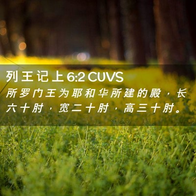 Picture 02 - 列 王 记 上 6:2 CUVS - 所 罗 门 王 为 耶 和 华 所 建 的 殿 - Bible Verse Picture