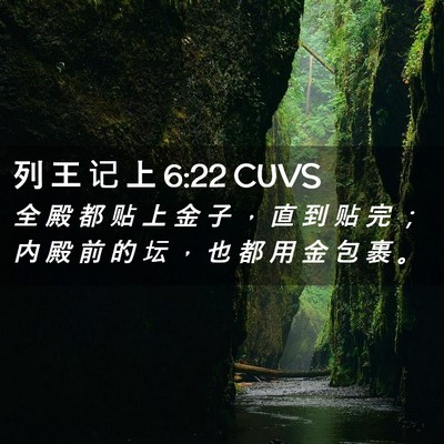 Picture 02 - 列 王 记 上 6:22 CUVS - 全 殿 都 贴 上 金 子 ， 直 到 贴 完 - Bible Verse Picture