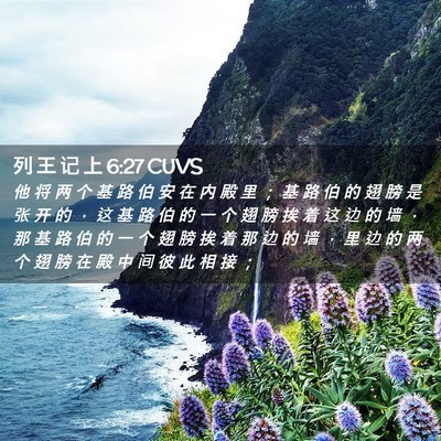Picture 02 - 列 王 记 上 6:27 CUVS - 他 将 两 个 基 路 伯 安 在 内 殿 里 - Bible Verse Picture