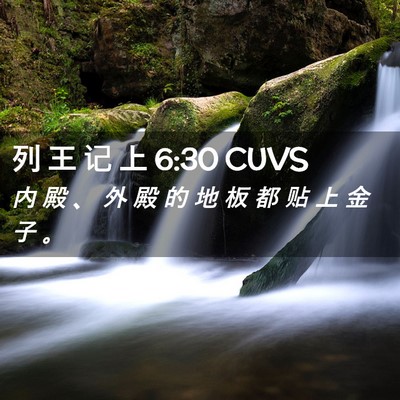 Picture 02 - 列 王 记 上 6:30 CUVS - 内 殿 、 外 殿 的 地 板 都 贴 上 金 - Bible Verse Picture