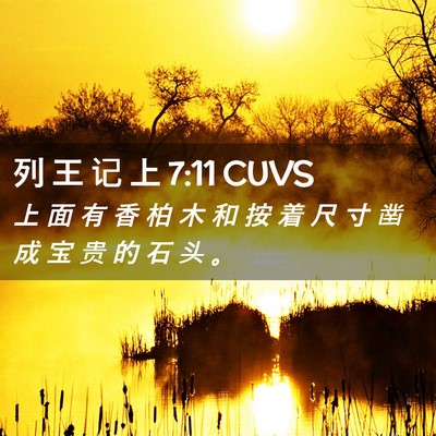 Picture 02 - 列 王 记 上 7:11 CUVS - 上 面 有 香 柏 木 和 按 着 尺 寸 凿 - Bible Verse Picture