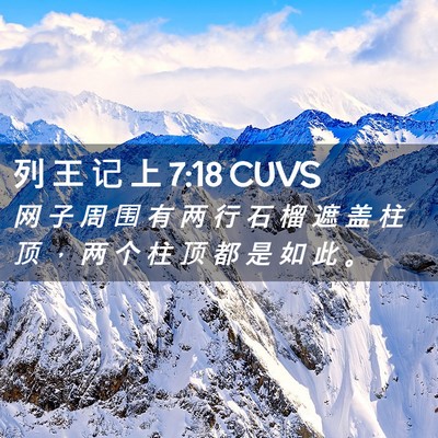Picture 02 - 列 王 记 上 7:18 CUVS - 网 子 周 围 有 两 行 石 榴 遮 盖 柱 - Bible Verse Picture