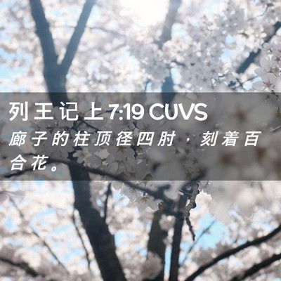 Picture 02 - 列 王 记 上 7:19 CUVS - 廊 子 的 柱 顶 径 四 肘 ， 刻 着 百 - Bible Verse Picture