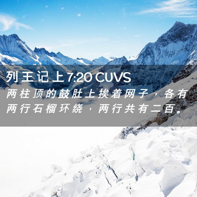 Picture 02 - 列 王 记 上 7:20 CUVS - 两 柱 顶 的 鼓 肚 上 挨 着 网 子 ， - Bible Verse Picture