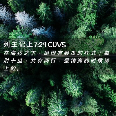 Picture 02 - 列 王 记 上 7:24 CUVS - 在 海 边 之 下 ， 周 围 有 野 瓜 的 - Bible Verse Picture