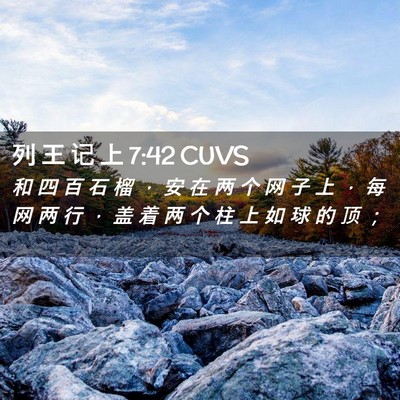 Picture 02 - 列 王 记 上 7:42 CUVS - 和 四 百 石 榴 ， 安 在 两 个 网 子 - Bible Verse Picture