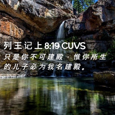 Picture 02 - 列 王 记 上 8:19 CUVS - 只 是 你 不 可 建 殿 ， 惟 你 所 生 - Bible Verse Picture